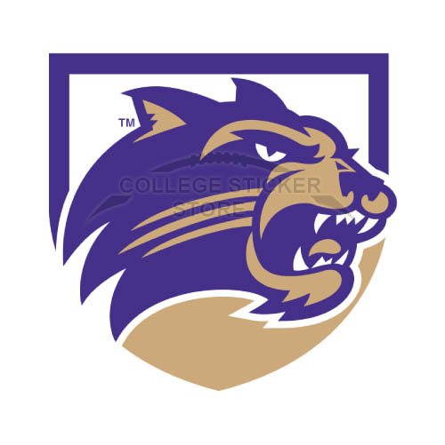 Diy Western Carolina Catamounts Iron-on Transfers (Wall Stickers)NO.6957